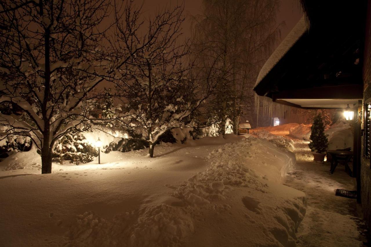 Villa Duric Superior Zlatibor Exterior foto